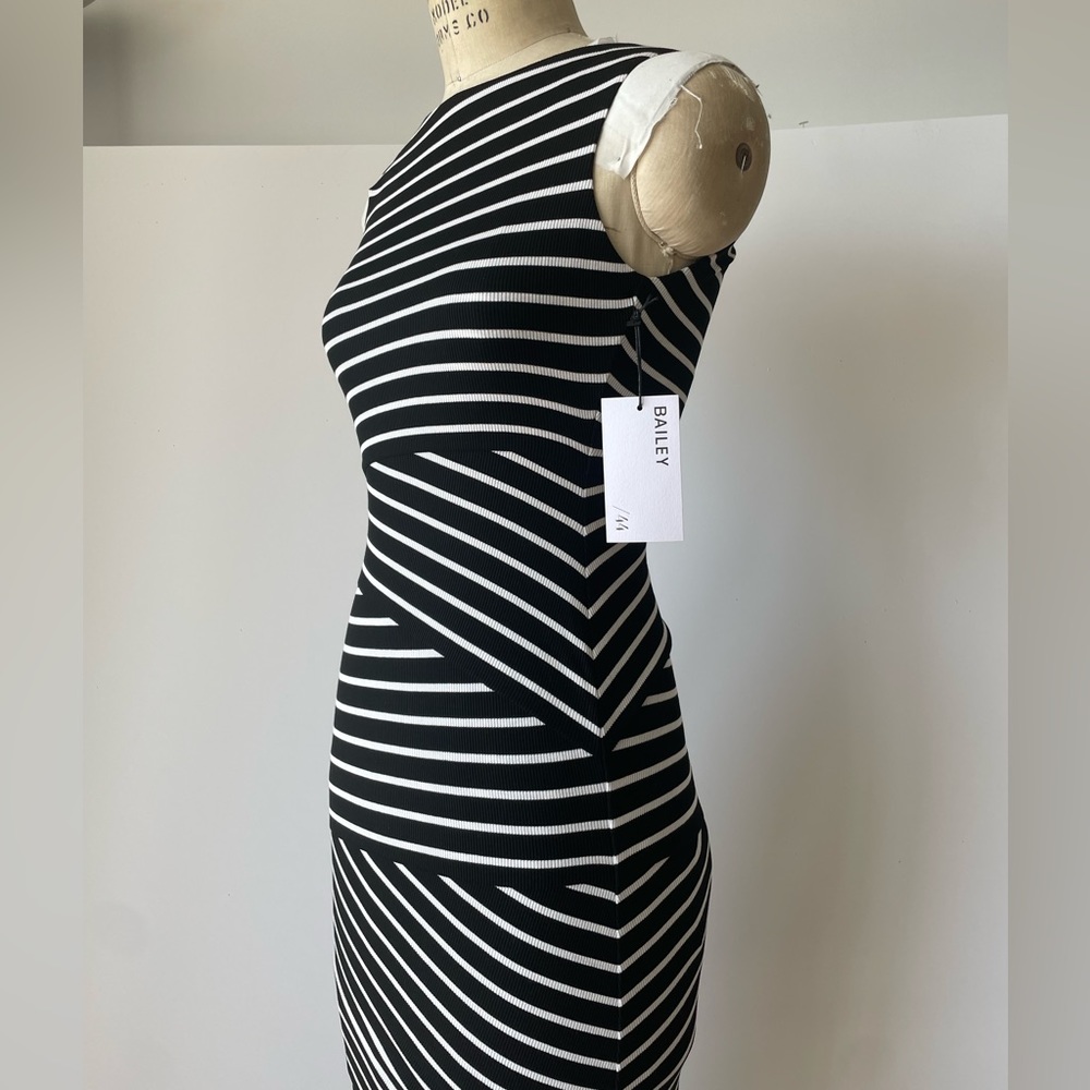 Bailey 44 striped layered dress Midi dress bodycon